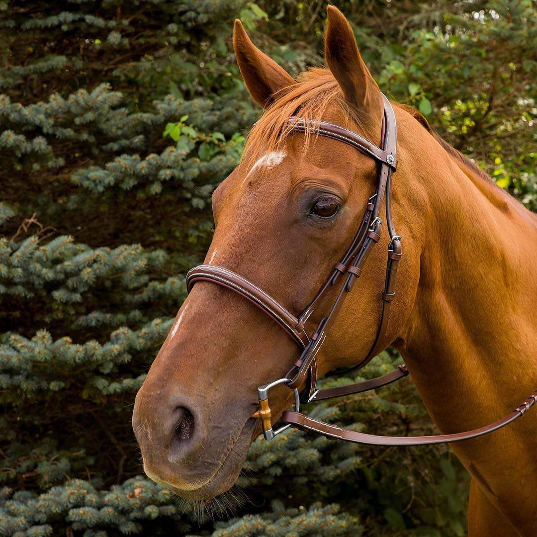 Henri de Rivel Pro Mono Crown Fancy Stitched Padded Bridle - Breeches.com - Flyclothing LLC