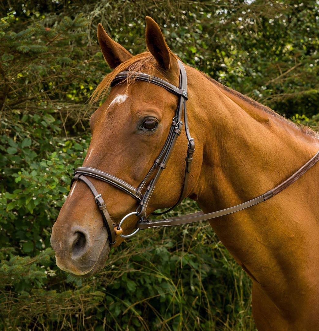 Henri de Rivel Pro Mono Crown Bridle with Flash and Rubber Reins - Breeches.com - Flyclothing LLC