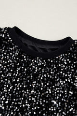 Sequin Round Neck Long Sleeve Blouse - Trendsi - Flyclothing LLC