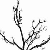 48" Black Artificial Manzanita Tree In Black Planter Pot - HomeRoots - Flyclothing LLC