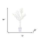 48" White Artificial Manzanita Tree In White Planter Pot - HomeRoots - Flyclothing LLC