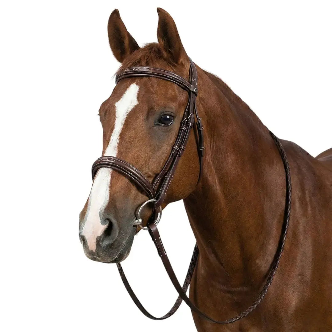 Henri de Rivel Pro Mono Crown Fancy Bridle with Patent Leather Piping and Laced Reins - Breeches.com - Flyclothing LLC