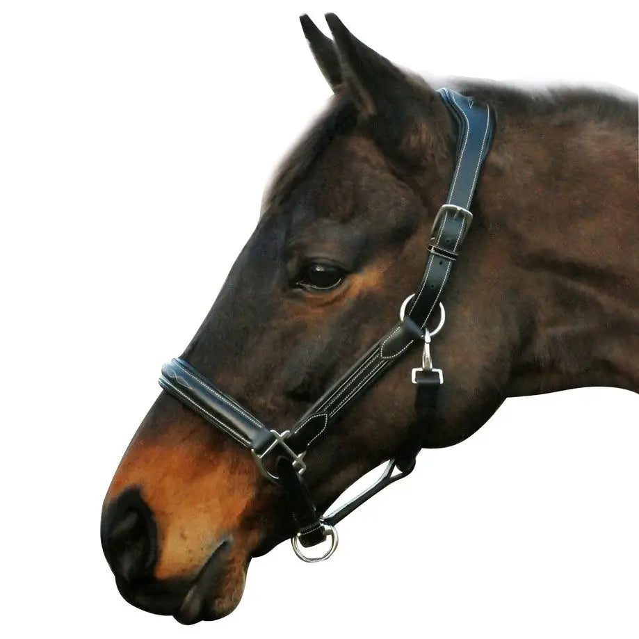 Henri de Rivel Stress Free Halter With Fancy Contrast Stitching - Breeches.com - Flyclothing LLC
