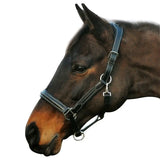 Henri de Rivel Stress Free Halter With Fancy Contrast Stitching - Breeches.com - Flyclothing LLC