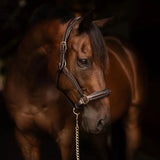 Henri de Rivel Stress Free Halter With Fancy Contrast Stitching - Breeches.com - Flyclothing LLC