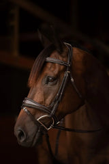 Henri de rivel Jamaika Pro Anatomical Fancy Raised Wide Flash Noseband Bridle with Raised laced reins - Breeches.com - Flyclothing LLC
