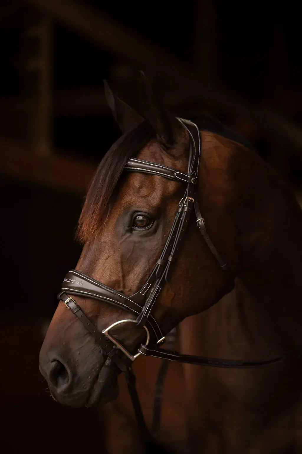Henri de rivel Jamaika Pro Anatomical Fancy Raised Wide Flash Noseband Bridle with Raised laced reins - Breeches.com - Flyclothing LLC