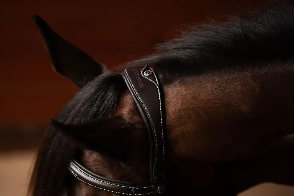 Henri de rivel Jamaika Pro Anatomical Fancy Raised Wide Flash Noseband Bridle with Raised laced reins - Breeches.com - Flyclothing LLC