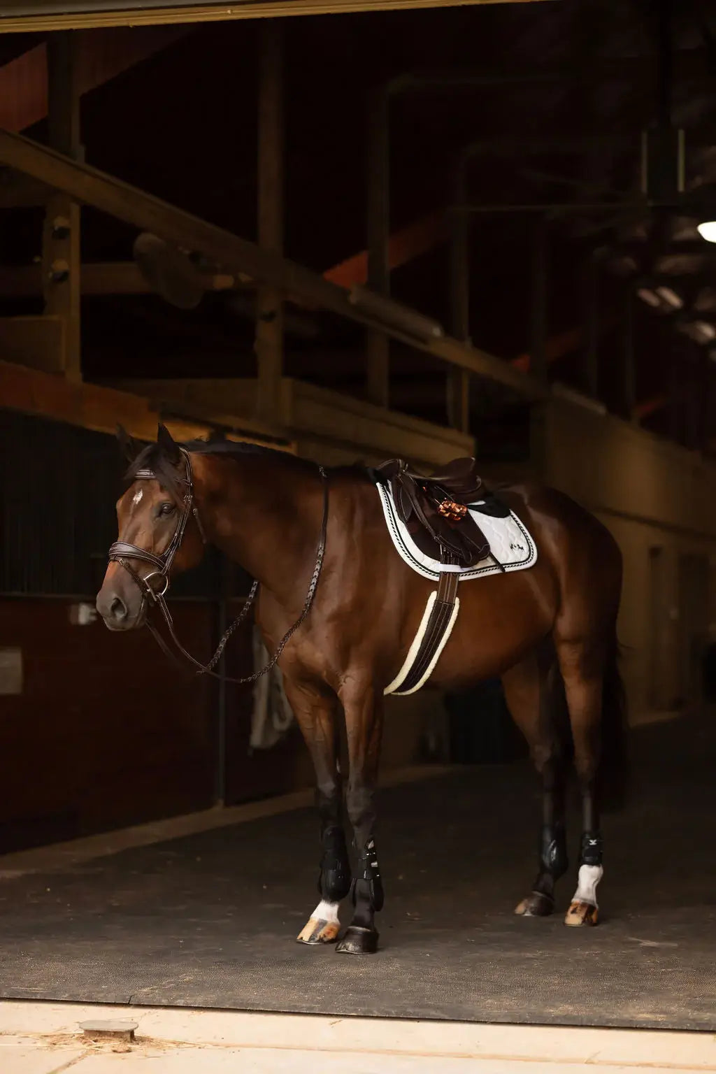 Henri de rivel Jamaika Pro Anatomical Fancy Raised Wide Flash Noseband Bridle with Raised laced reins - Breeches.com - Flyclothing LLC