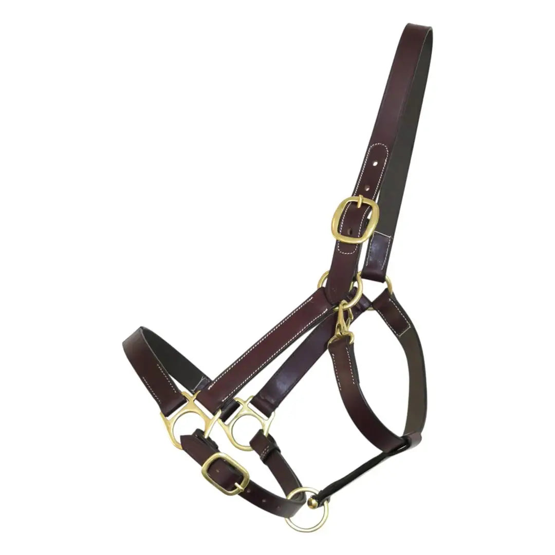 Henri de Rivel Leather Turnout Halters With Snap - Breeches.com - Flyclothing LLC