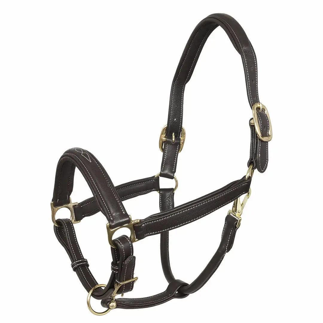 Henri de Rivel Laureate Fancy Stitched Grippy Leather Halter with Brass Fittings - Breeches.com - Flyclothing LLC