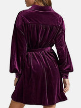 Collared Neck Button Down Long Sleeve Mini Dress - Trendsi - Flyclothing LLC