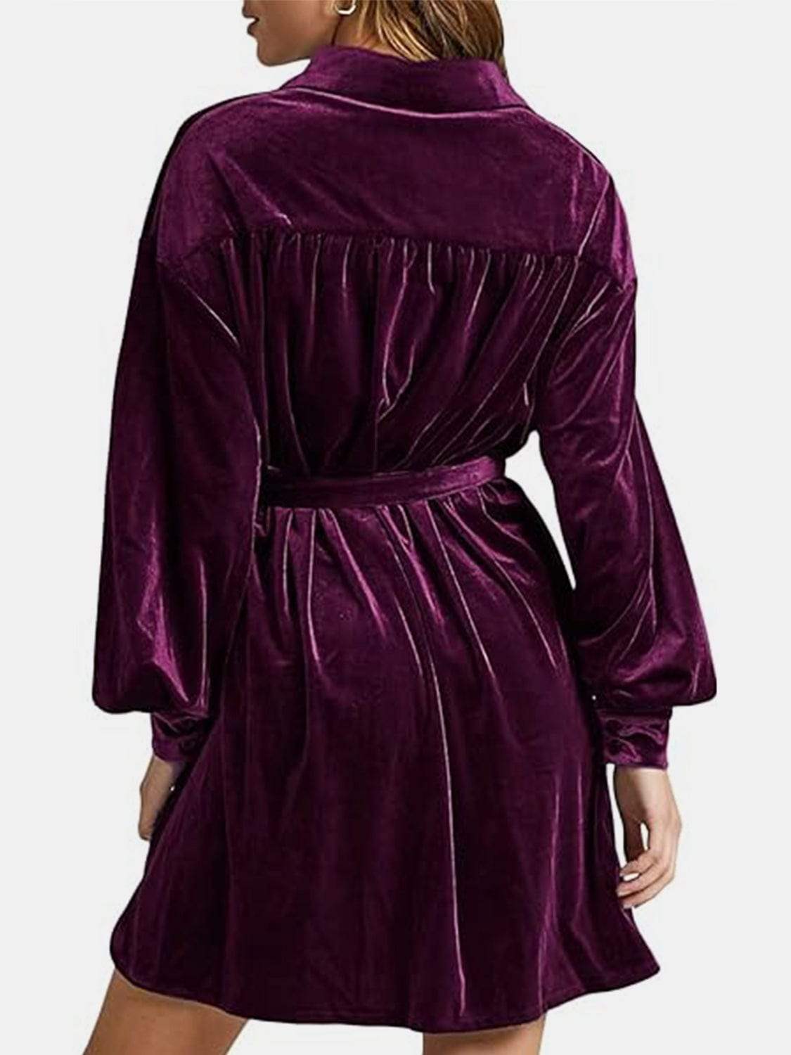 Collared Neck Button Down Long Sleeve Mini Dress - Trendsi - Flyclothing LLC