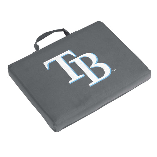 Tampa Bay Rays Charcoal Bleacher Cushion - Logo Brands - Flyclothing LLC