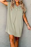 Collared Neck Short Sleeve Mini Dress - Trendsi