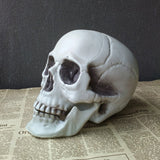 Halloween Decoration Artificial Skull - My Store - Flyclothing LLC