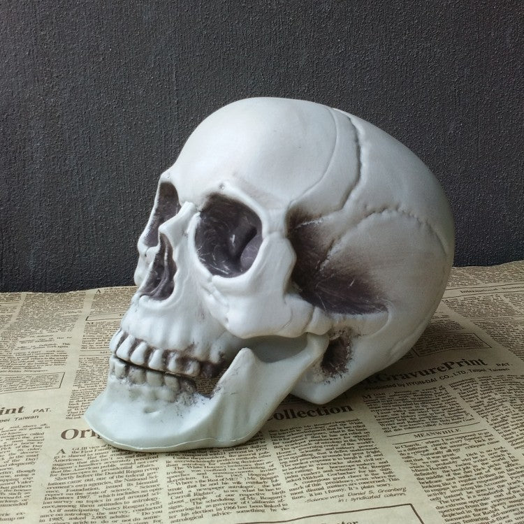 Halloween Decoration Artificial Skull - My Store - Flyclothing LLC