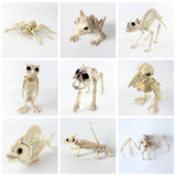 Halloween Decoration Artificial Animal Skeleton - My Store - Flyclothing LLC