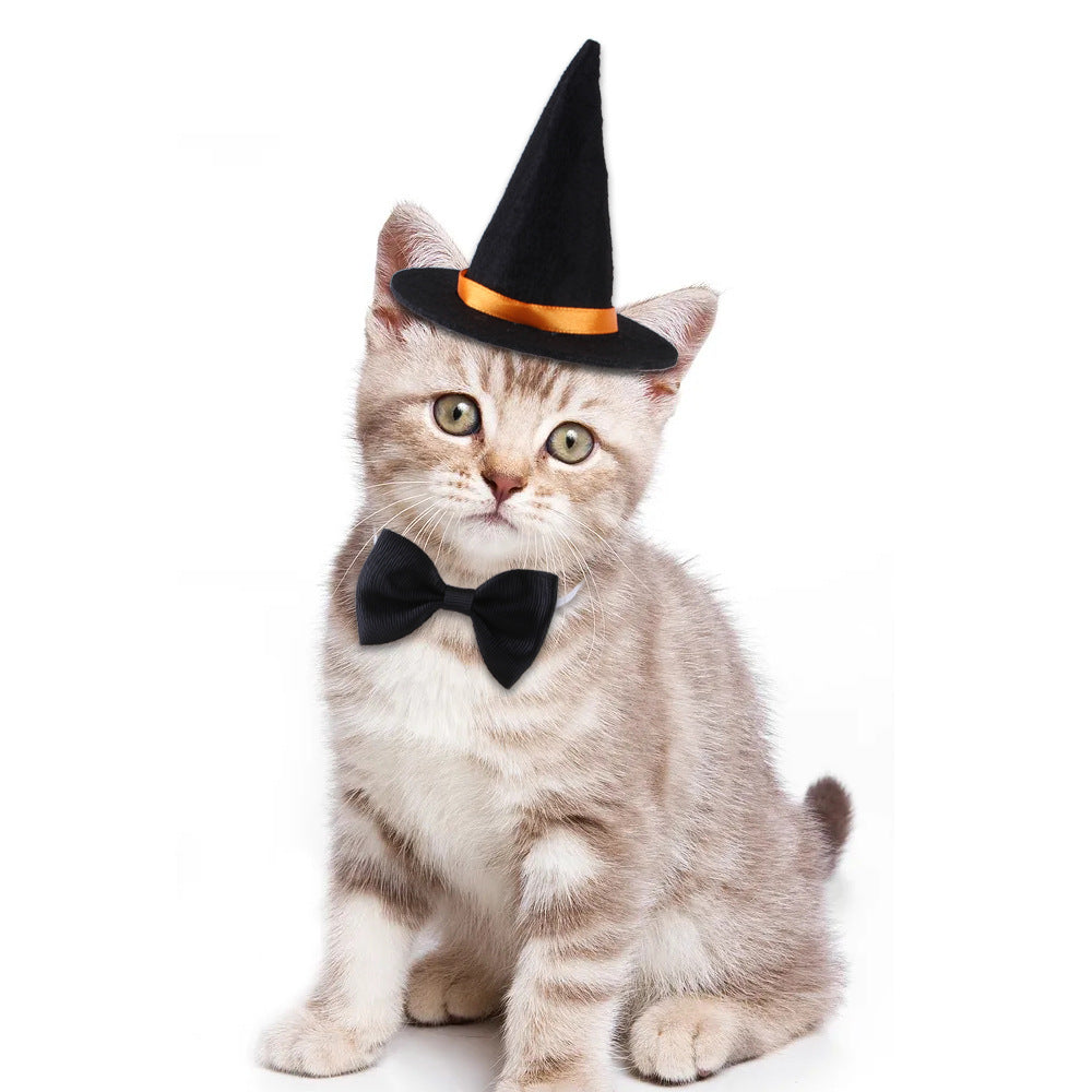 Halloween Pet Suit Wizard Hat Bow Tie - My Store - Flyclothing LLC