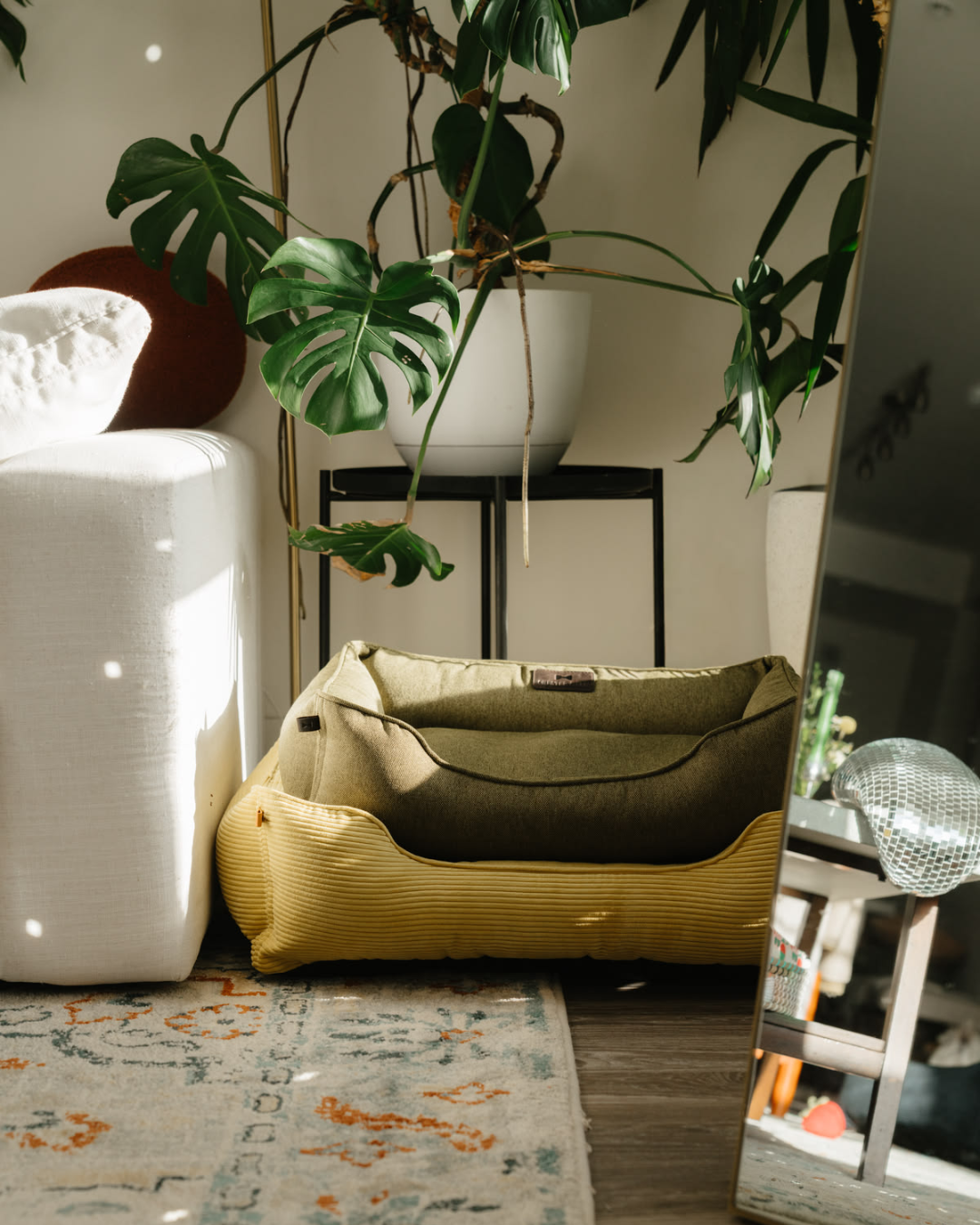 Chester & Lee | Cotton Sleeper Dog Bed Olive - Chester & Lee - Flyclothing LLC