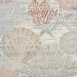5' X 7' Blue Blush And Gray Seashell and Coral Area Rug - HomeRoots - Flyclothing LLC