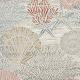 4' X 6' Blue Blush And Gray Seashell and Coral Area Rug - HomeRoots - Flyclothing LLC