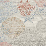 4' X 6' Blue Blush And Gray Seashell and Coral Area Rug - HomeRoots - Flyclothing LLC