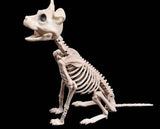 Halloween Decoration Artificial Animal Skeleton - My Store - Flyclothing LLC