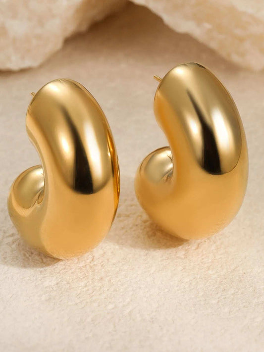 Stainless Steel Chunky Twist Earrings - Trendsi - Flyclothing LLC