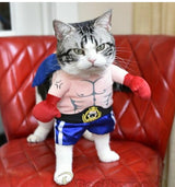 Boxer Cat Costume - My Store - Flyclothing LLC
