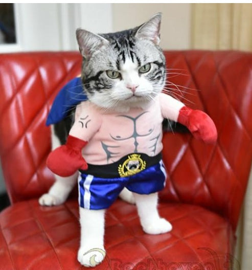 Boxer Cat Costume - My Store - Flyclothing LLC