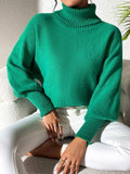 Turtleneck Long Sleeve Sweater - Trendsi - Flyclothing LLC