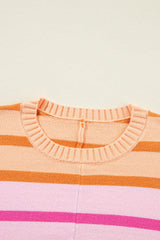 Contrast Striped Round Neck Long Sleeve Knit Top - Trendsi - Flyclothing LLC