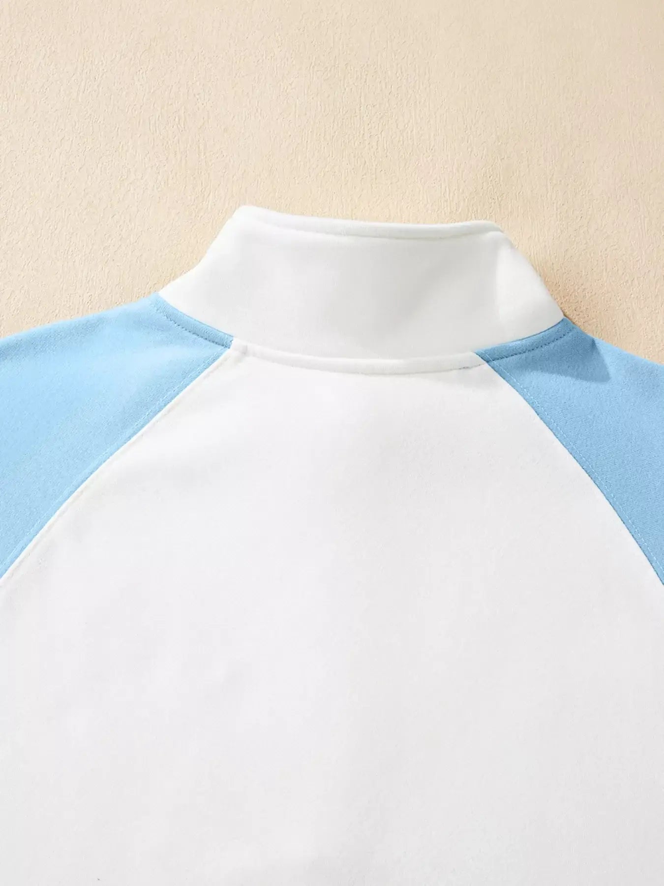Color Block Snap Buttons Sweatshirt - Trendsi - Flyclothing LLC