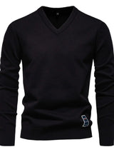 Men's Ribbed Hem V-Neck Long Sleeve Sweater - Trendsi - Flyclothing LLC