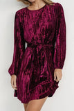 Velvet Round Neck Tie Waist Long Sleeve Mini Dress - Trendsi