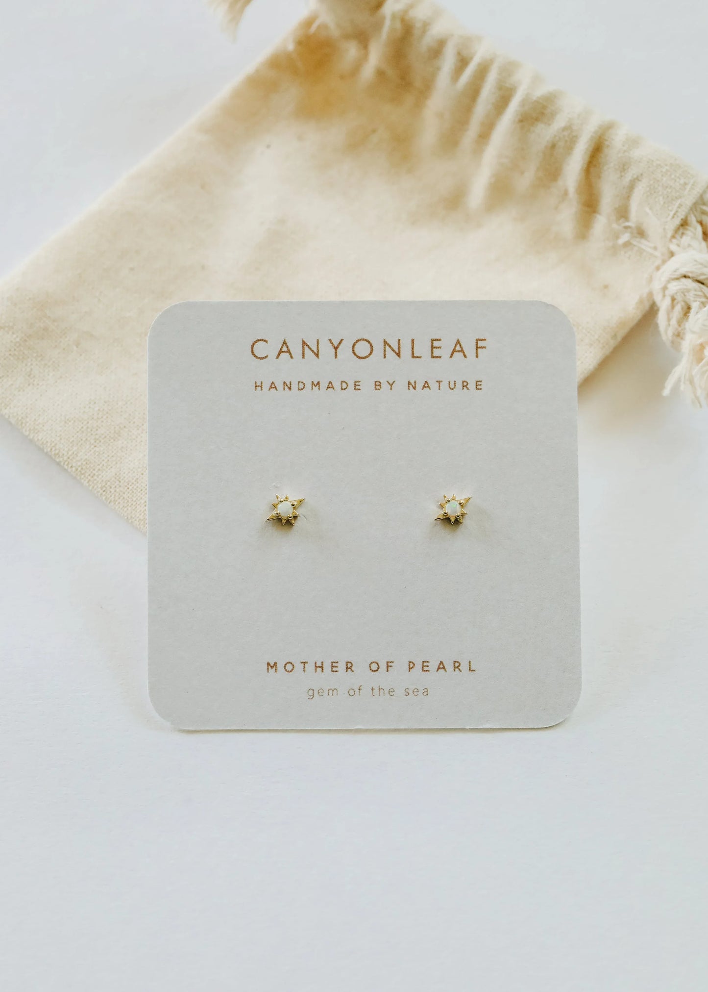 18K Gold Vermeil + Mother of Pearl Gemstone || Everyday Earrings - CanyonLeaf - Flyclothing LLC