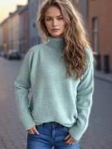 Solid Color Turtleneck Long Sleeve Sweater - Trendsi - Flyclothing LLC