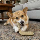 Hockey Stick Nylon Dog Chew Toy - Ultra-Durable for Aggressive Chewers USA - SodaPup/True Dogs, LLC - Flyclothing LLC