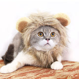 Funny Pet Hat For Small Dogs Cats Hat Emulation Lion Hair Mane Ears Head Cap Scarf Pet Halloween Festival Costume - My Store - Flyclothing LLC