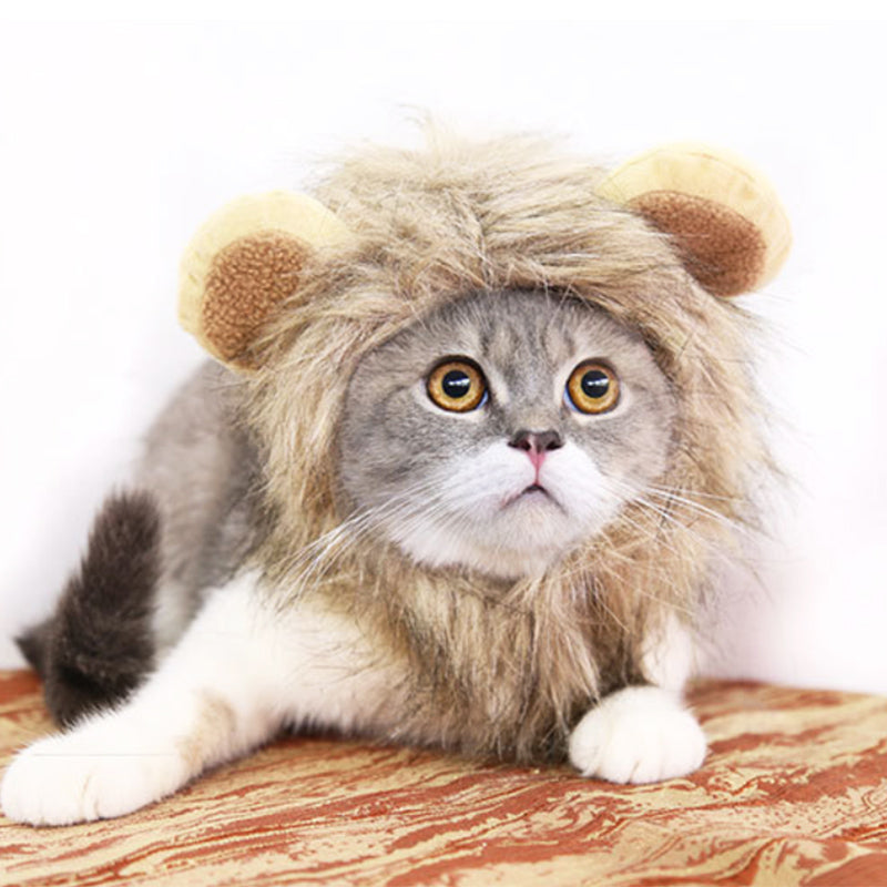 Funny Pet Hat For Small Dogs Cats Hat Emulation Lion Hair Mane Ears Head Cap Scarf Pet Halloween Festival Costume - My Store - Flyclothing LLC