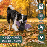 Baxter Bat Halloween Dog Toy - HuggleHounds - Flyclothing LLC