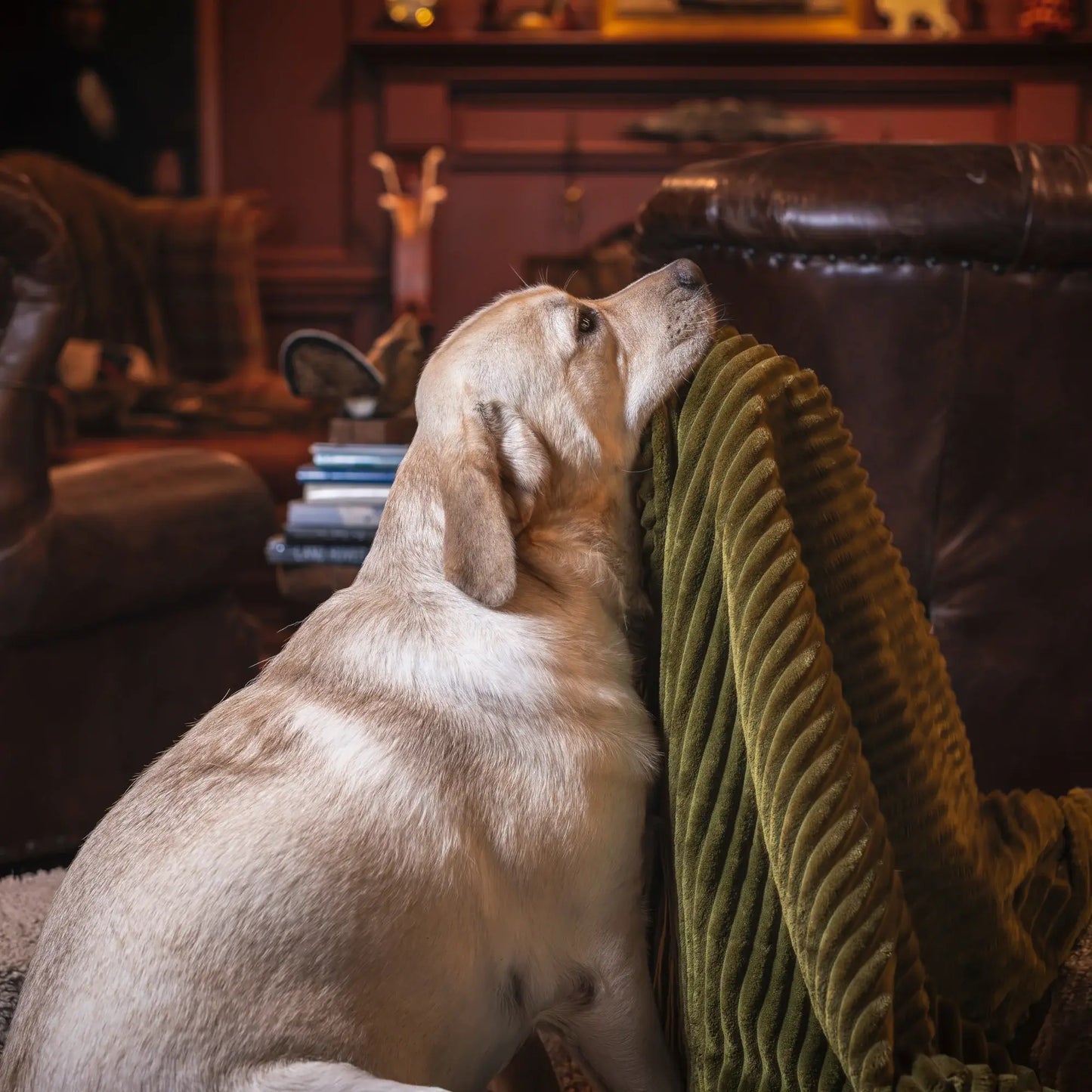 Scout Blankie Double-Sided Plush Dog Blanket - HuggleHounds - Flyclothing LLC