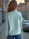 Solid Color Turtleneck Long Sleeve Sweater - Trendsi - Flyclothing LLC