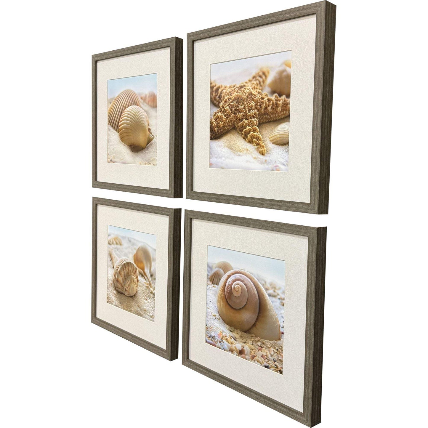 Set Of Four Beachy Shells Brown Framed Wall Art - HomeRoots - Flyclothing LLC