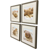 Set Of Four Beachy Shells Brown Framed Wall Art - HomeRoots - Flyclothing LLC