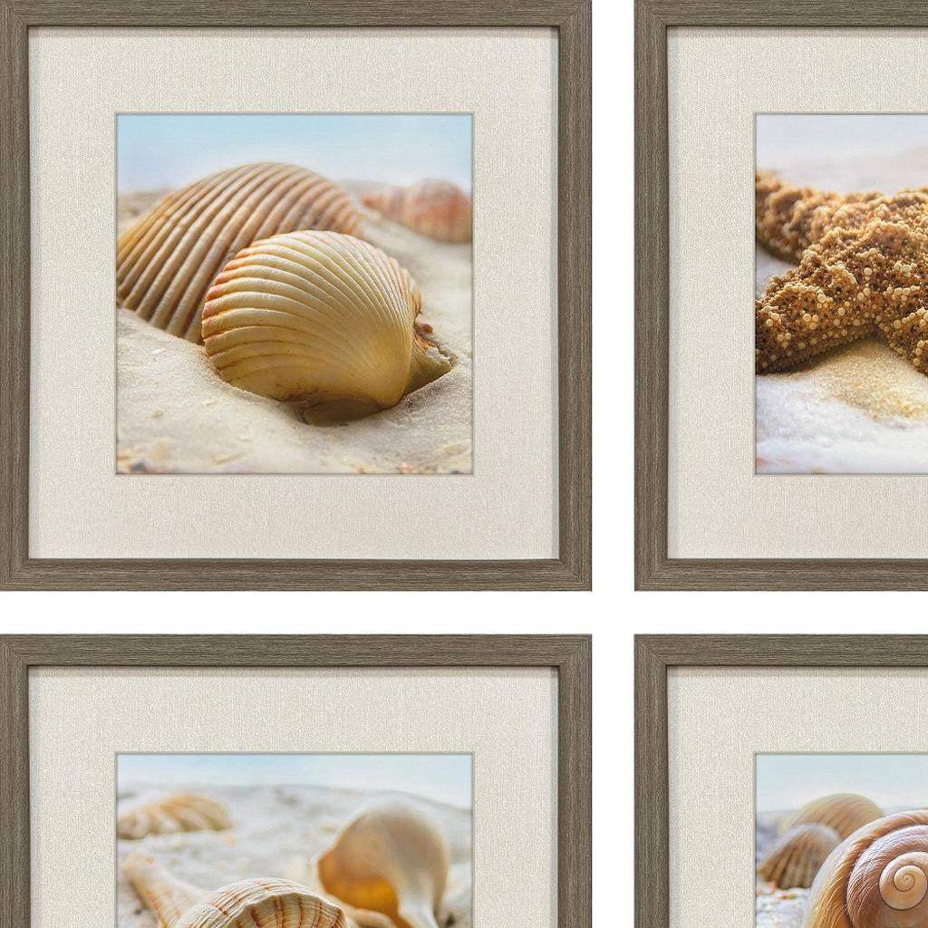 Set Of Four Beachy Shells Brown Framed Wall Art - HomeRoots - Flyclothing LLC