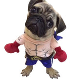 Boxer Cat Costume - My Store - Flyclothing LLC