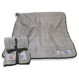 Philadelphia Eagles Autism Foudation Frosty Fleece - Logo Brands - Flyclothing LLC