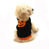 Pet Halloween Dog Knitted Pumpkin Sweater - My Store - Flyclothing LLC